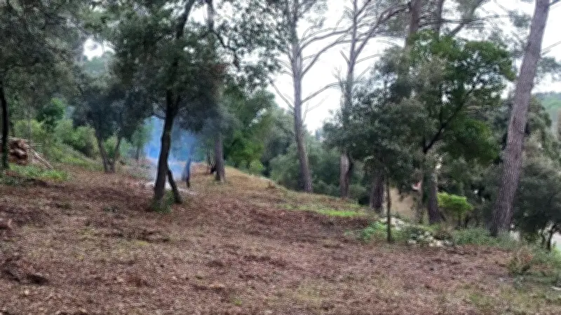 L'APIC mobilise ses bénévoles pour un chantier de brûlage préventif contre les incendies