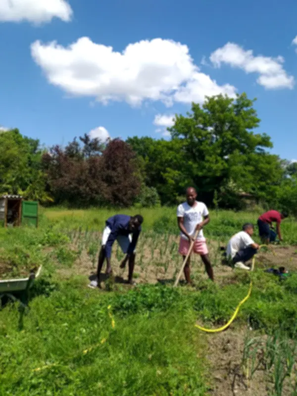 L'association d'intégration des réfugiés fait le point sur ses actions à La Plaine