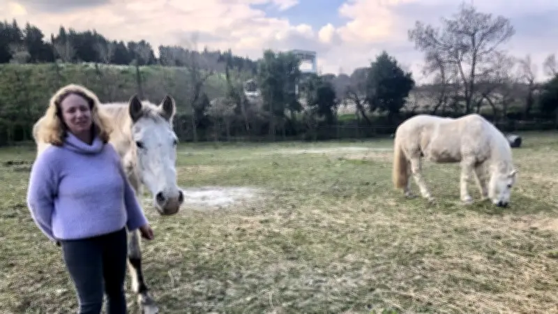 L'association Happy Horse Day en crise financière lance un appel aux dons pour sauver ses chevaux