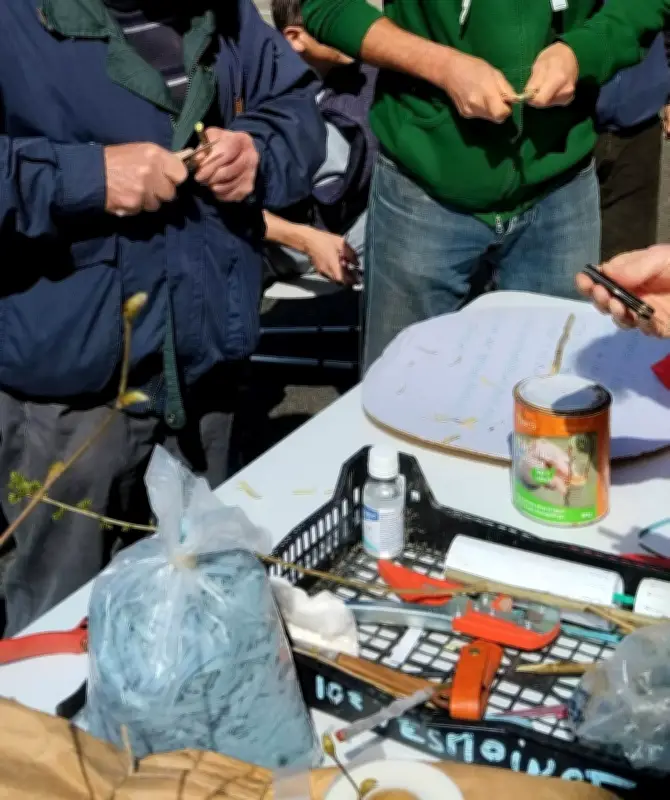 L'association Trukatu initie au greffage d'arbres fruitiers pour une agriculture durable