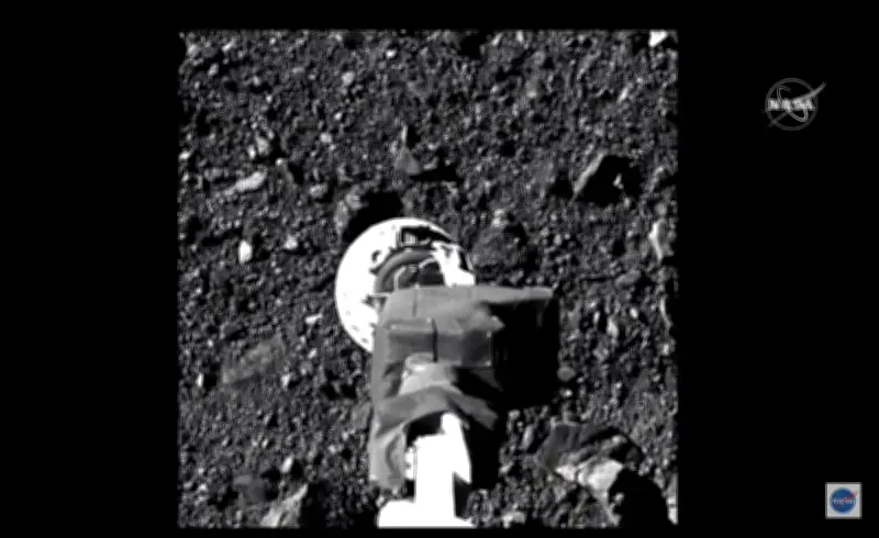L'astéroïde Ryugu révèle toutes les bases de l'ADN et de l'ARN, une découverte majeure pour l'origine de la vie