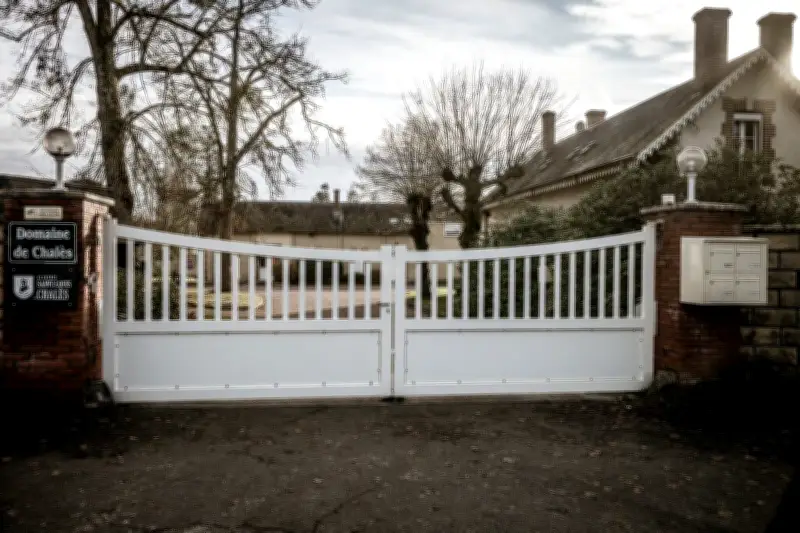 L'audition au Sénat du président de l'Académie Saint-Louis, bras droit de Pierre-Édouard Sterin