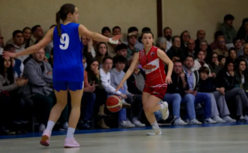 L'Avenir Basket Chalosse cherche la victoire face à Anglet après deux défaites frustrantes