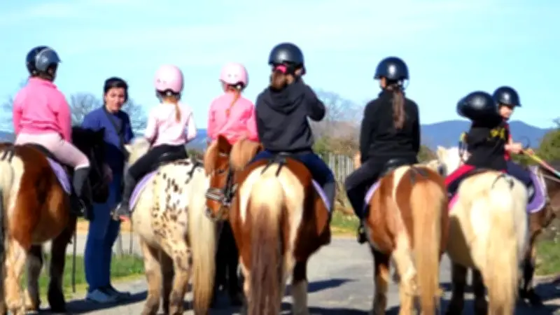 L'Écurie du Sud clôt sa saison hivernale par un concours prometteur en Pyrénées-Orientales