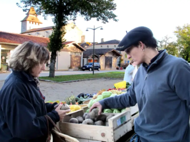Le Bocal organise une exposition-vente de plantes et artisanat de jardin à Labastide