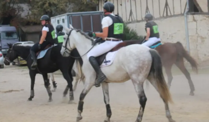 Le centre équestre Ous Pins accueille le Grand Régional du 12 au 15 mars