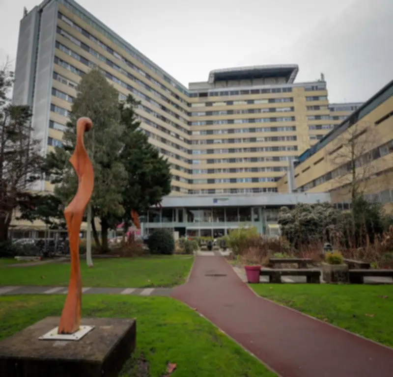 Le CHU Pellegrin de Bordeaux brille dans le classement mondial des hôpitaux de Newsweek