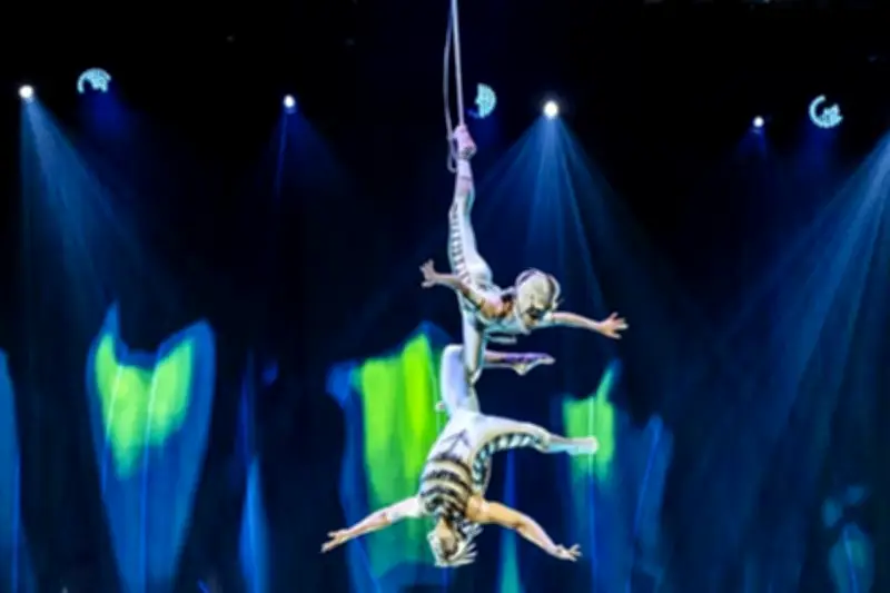 Le Cirque du Soleil déploie ses ailes à Marseille avec le spectacle Ovo