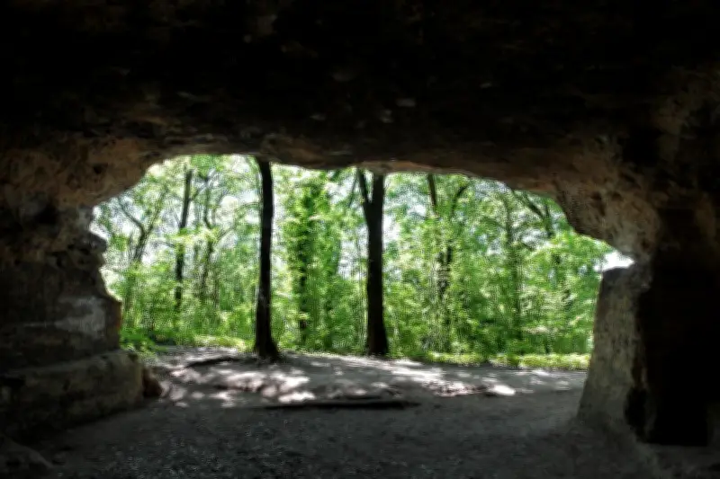 Le CTPN lance un questionnaire biodiversité pour les candidats aux municipales