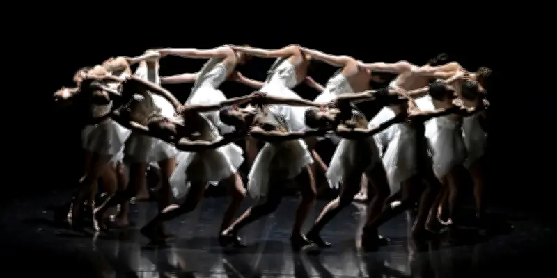 Le cygne, une source inépuisable d'inspiration pour la danse contemporaine