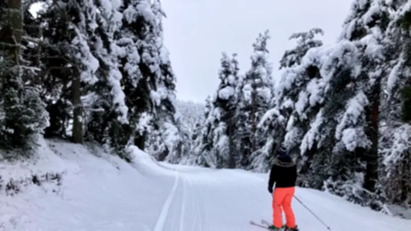 Le domaine nordique du Mont Lozère prolonge son ouverture jusqu'au 8 mars
