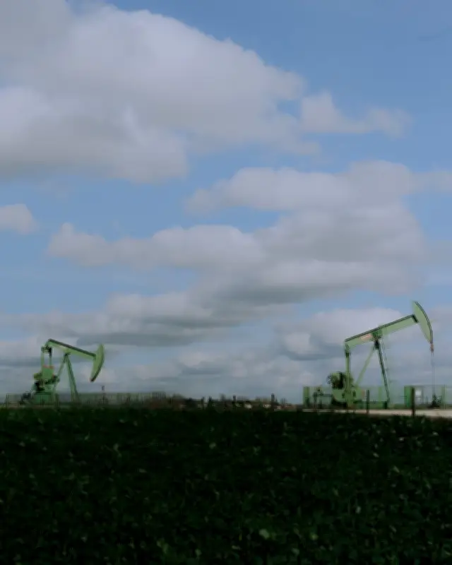 Le Haut Conseil pour le Climat salue la feuille de route climatique de la France
