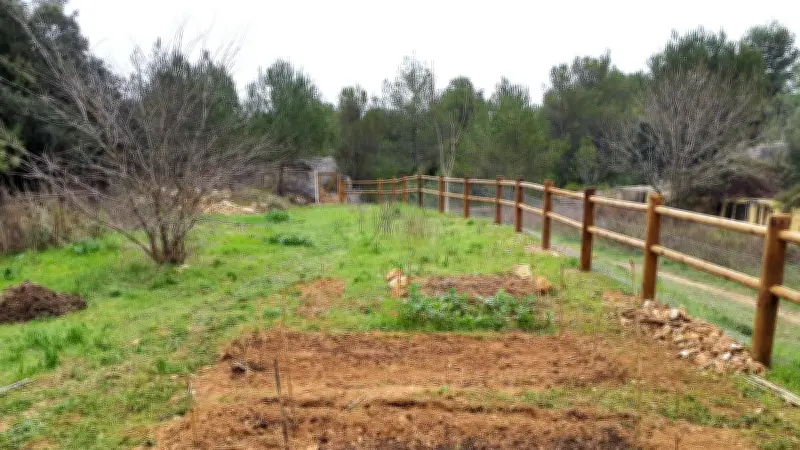 Le Jardin des Carriers renaît au printemps grâce à l'engagement bénévole