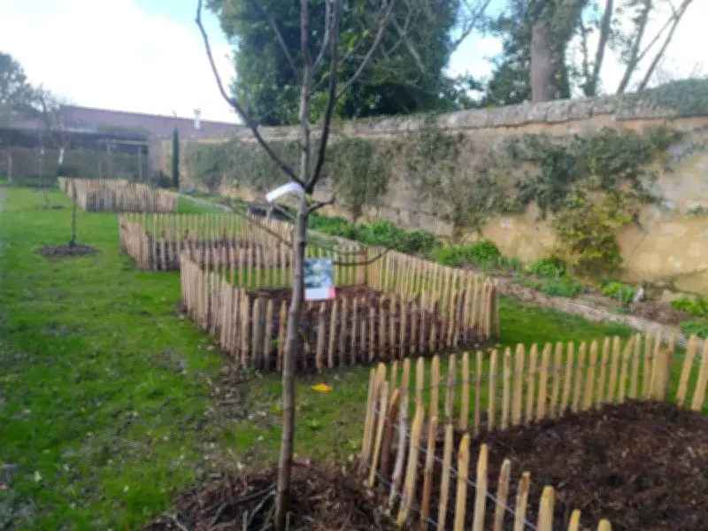 Le jardin médicinal de Pons lance de nouveaux ateliers gratuits et un troc plantes