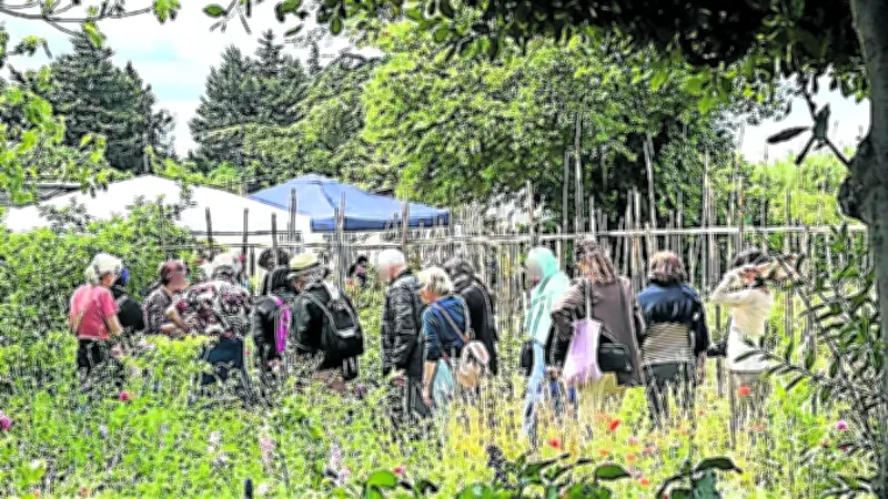 Le jardinage comme levier d'insertion sociale et professionnelle à Nîmes
