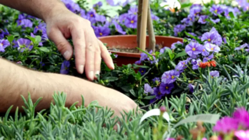 Le jardinage en France : un retour à l'âge du "faire" et à la nature