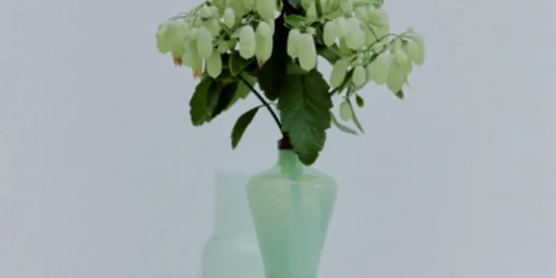 Le Kalanchoé Magic Bell : une succulente spectaculaire aux clochettes silencieuses