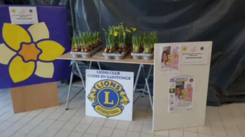 Le Lions Club Cozes-en-Saintonge organise sa 3e vente de jonquilles pour la recherche contre le cancer