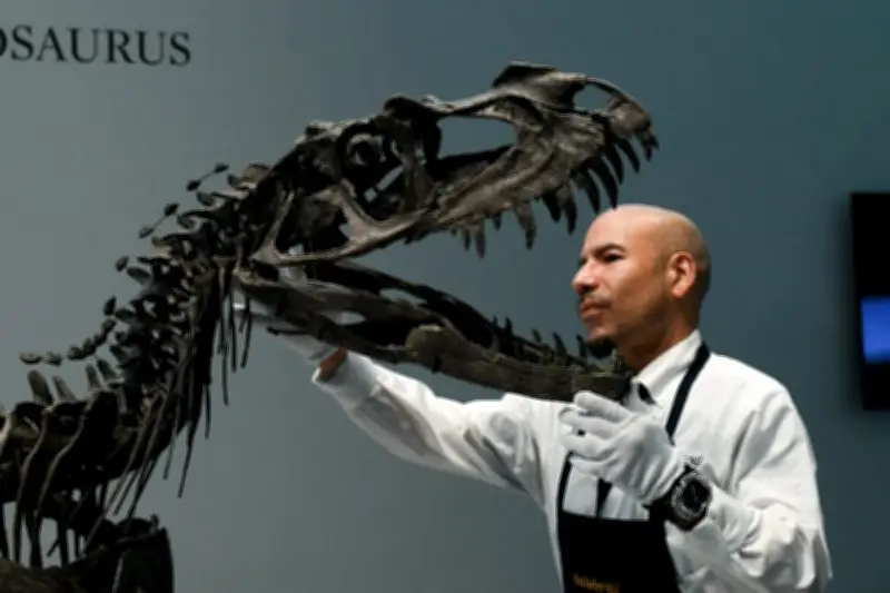 Le marché des fossiles de dinosaures : une ruée vers l'os qui s'essouffle