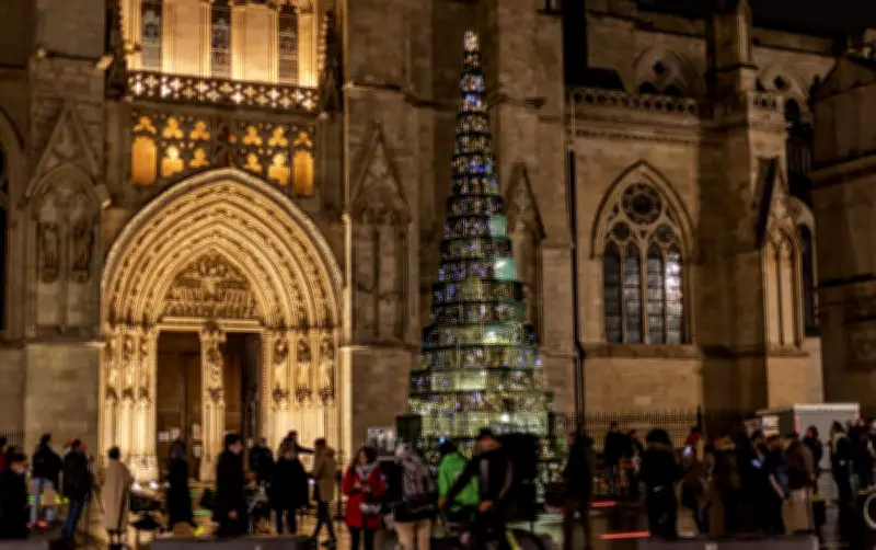 Le nouveau maire de Bordeaux sacrifie le sapin en verre pour un « vrai » sapin de Noël