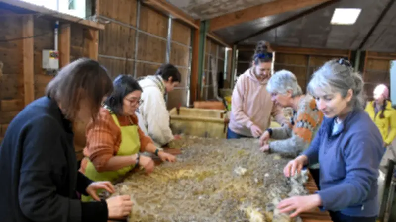 Le Parc des Grands Causses forme à la valorisation de la laine locale