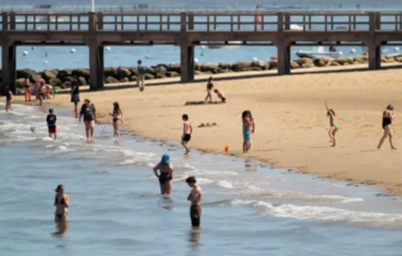Le Parc naturel marin d'Arcachon révèle ses premières données de fréquentation touristique