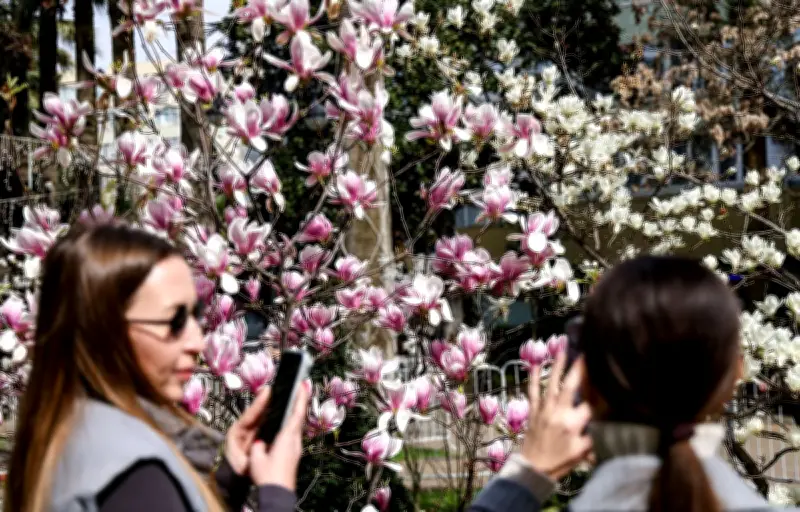 Le printemps 2024 a débuté le 20 mars, découvrez pourquoi cette date change