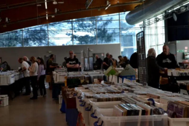 Le Printemps du disque de Mérignac attire les collectionneurs malgré une fréquentation en baisse
