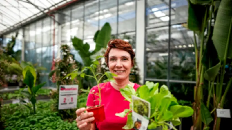Le printemps fait fleurir les jardineries près de Nîmes : conseils pour réussir ses plantations