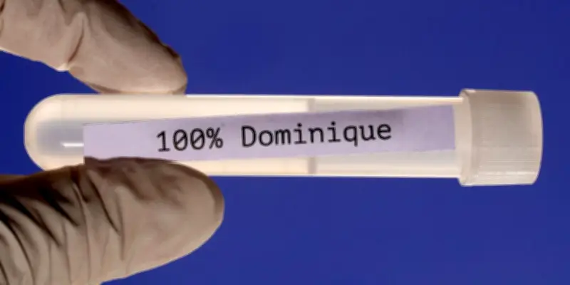 Le prénom Dominique jugé trop exagéré pour un film selon une étude sociologique