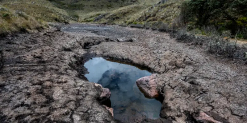 Le retour probable d'El Niño fait craindre une aggravation de la crise climatique