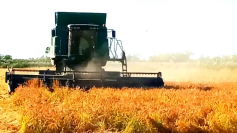 Le riz blanc de Camargue IGP conquiert les épiceries parisiennes de luxe
