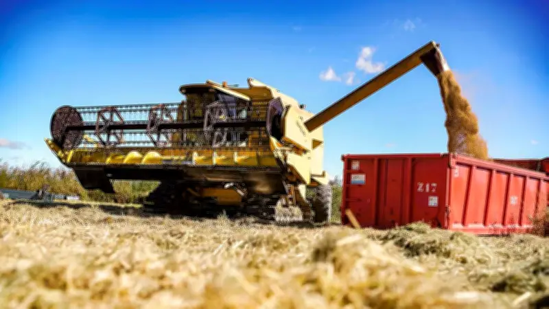 Le riz de Camargue IGP brille lors de la demi-finale du World Paella Day à Nîmes