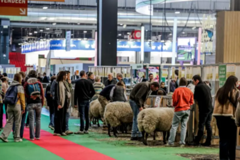 Le Salon de l'Agriculture 2026 enregistre une chute de fréquentation de 27,9%