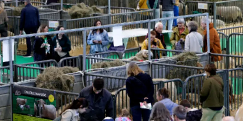 Le Salon de l'Agriculture 2026 enregistre une fréquentation en chute de 27,9%