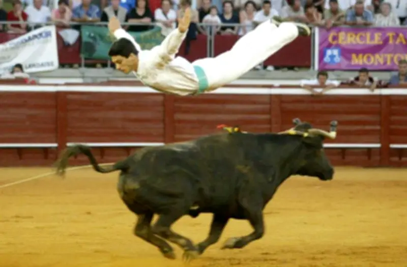 Le saut légendaire de Nicolas Vergonzeanne face au « toro assassin » Ratón