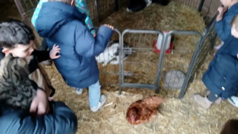 Le Service Enfance de Générac brille par ses activités variées pendant les vacances