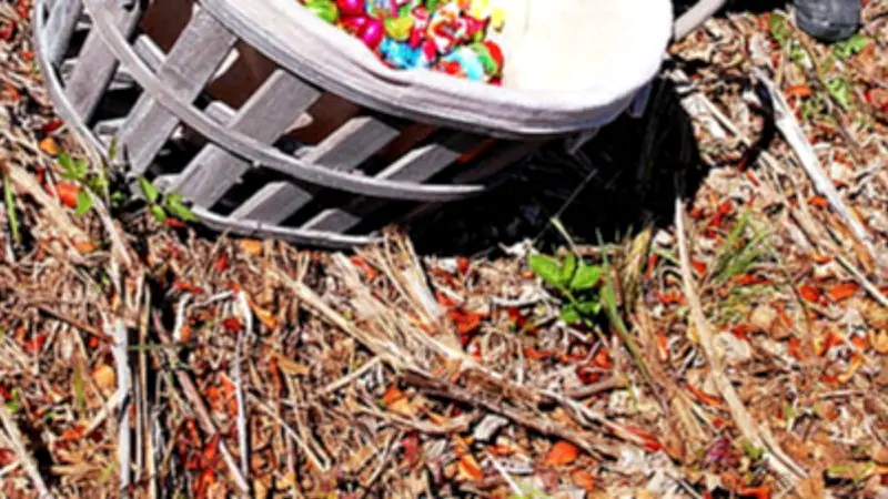 Le Sou des écoles des Mages lance sa saison printanière avec trois événements festifs