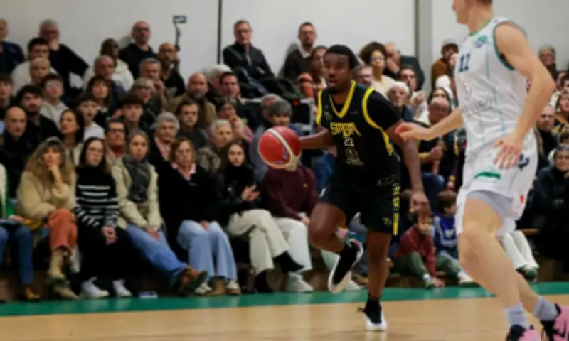 Le Stade Montois s'impose face à Montaigu-Vendée et se relance en NM2