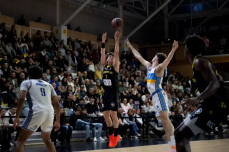 Le Stade Rochelais impressionne face aux Sharks d'Antibes en Pro B