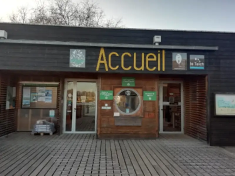 Le Teich lance son festival Territoires Sauvages avec kayak, oiseaux et balades contées