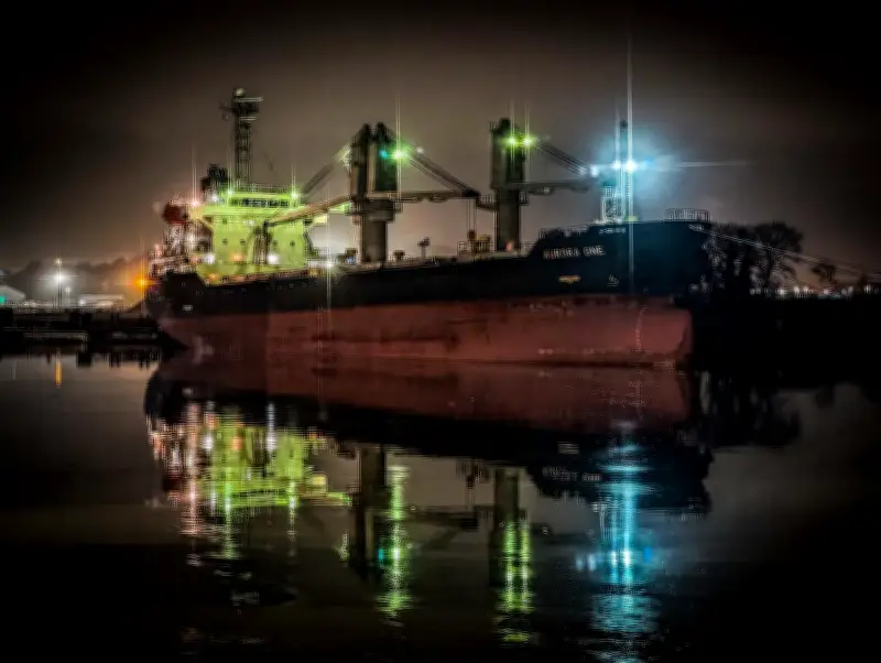 Le vraquier Aurora One libéré après 18 jours de détention au port de Bayonne