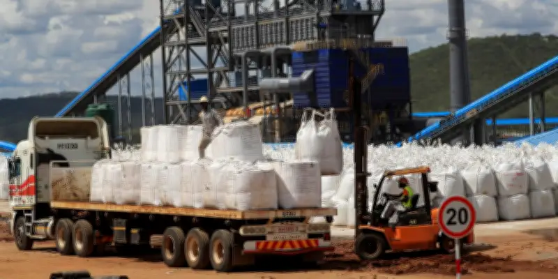 Le Zimbabwe suspend ses exportations de lithium, les cours s'envolent à la Bourse de Canton