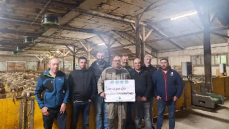 Élections APLBR : les éleveurs de brebis Roquefort appelés aux urnes