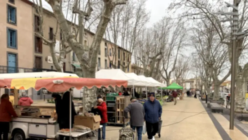 Élections municipales 2026 à Agde : le marché de la Promenade, miroir d'un scrutin aux intérêts divergents