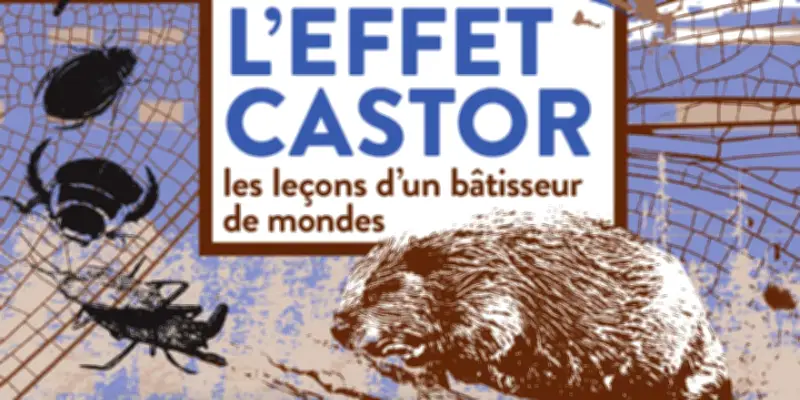L'Effet Castor : Une Enquête Révélatrice sur un Bâtisseur Essentiel des Écosystèmes
