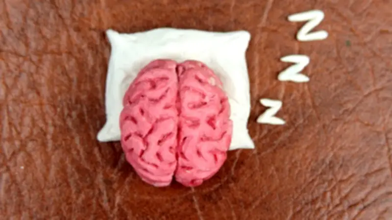 L'effort n'est pas un ennemi : une nouvelle vision de la motivation humaine