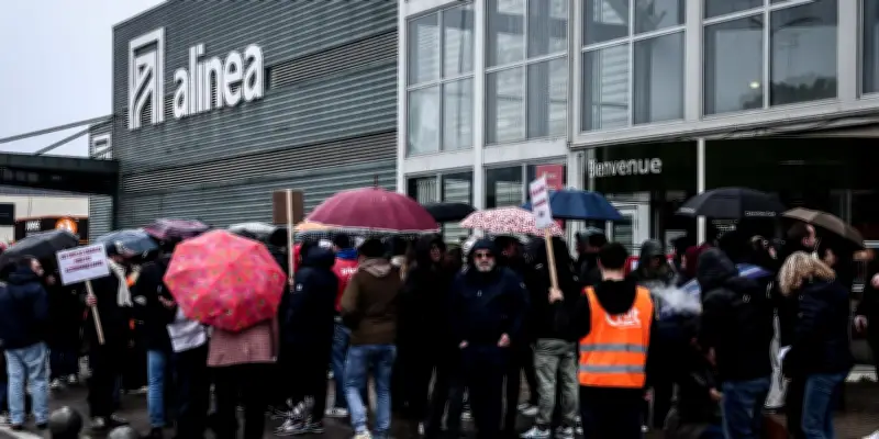 L'enseigne d'ameublement Alinéa placée en liquidation judiciaire, près de 1 200 emplois supprimés