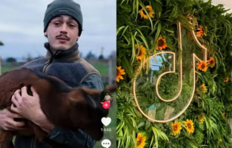 Les agri-influenceurs envahissent le Salon de l'agriculture avec TikTok