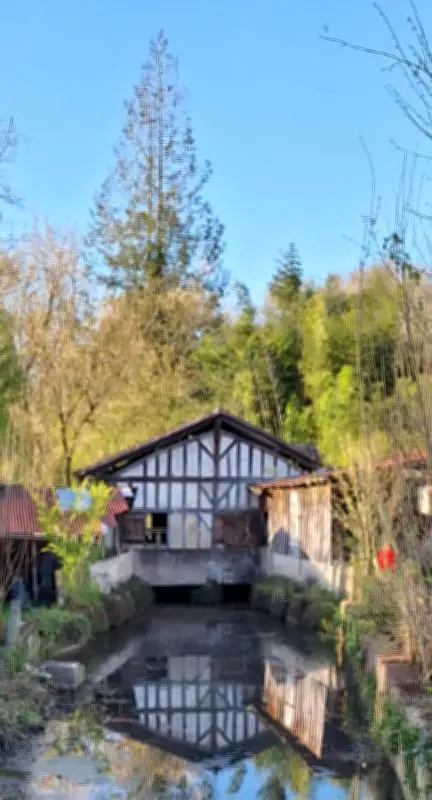 Les Amis du moulin de Mimbaste : 800 heures de bénévolat pour ressusciter un joyau industriel